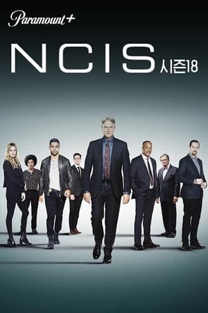 NCIS, Season 10 poster 2