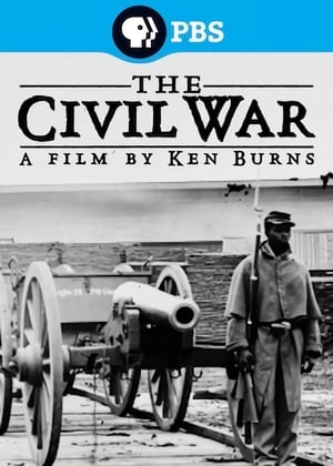 The War: A Film by Ken Burns and Lynn Novick poster 3