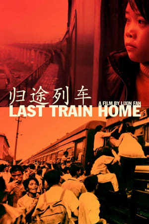 Last Train Home (2009) poster 1