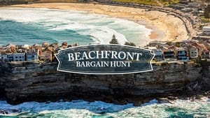 Beachfront Bargain Hunt, Season 30 image 1