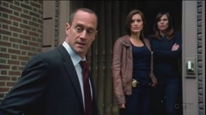 Law & Order: SVU (Special Victims Unit), Season 10 - Persona image