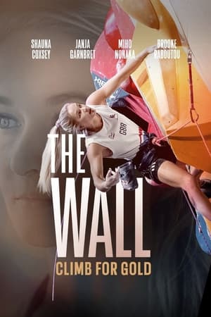 The Wall - Climb for Gold poster 2