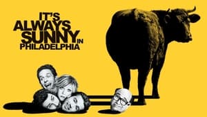 It's Always Sunny In Philadelphia, Season 14 image 3
