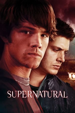 Supernatural, Season 5 poster 1