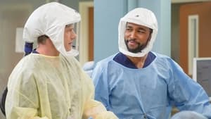 Grey's Anatomy, Season 17 - Tradition image