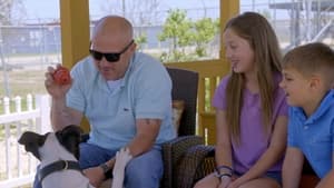 Pit Bulls and Parolees, Season 14 - Saved from the Fight image