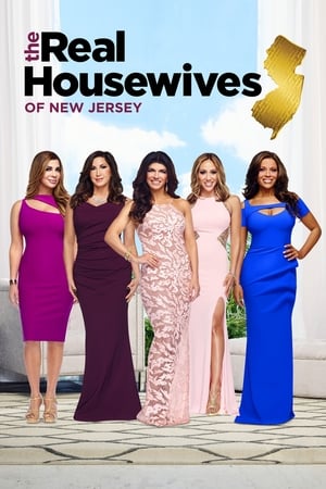The Real Housewives of New Jersey, Season 6 poster 1