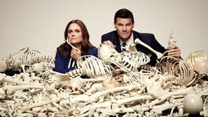 Bones, Season 1 image 0