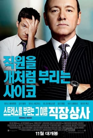 Horrible Bosses (Totally Inappropriate Edition) poster 3