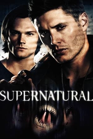 Supernatural the 13th: Scariest Episodes poster 0