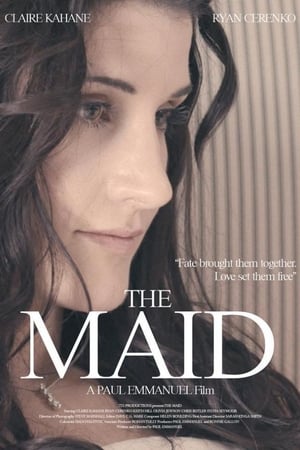 The Maid poster 3