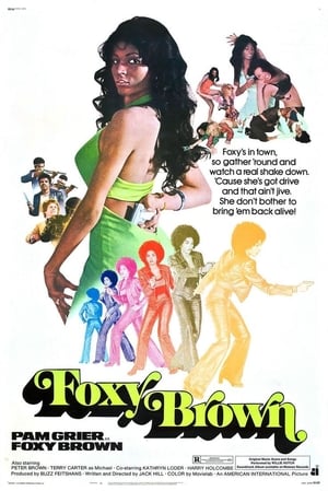 Foxy Brown poster 3