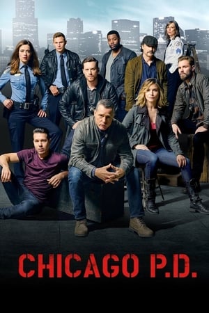 Chicago PD, Season 11 poster 1
