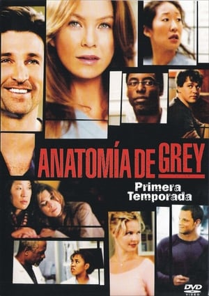 Grey's Anatomy, Season 18 poster 1