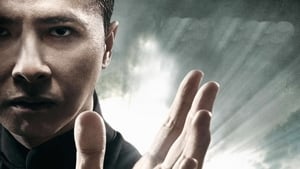 Ip Man 4: The Finale image 3