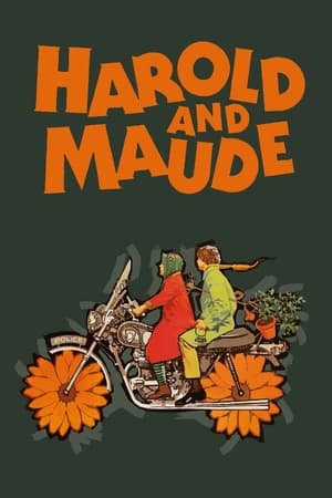 Harold and Maude poster 4