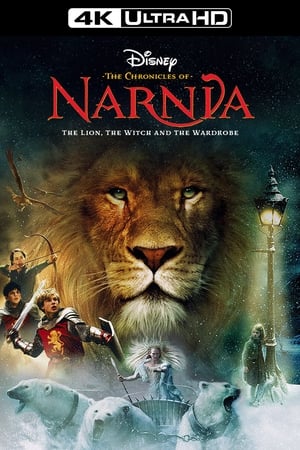 The Chronicles of Narnia: The Lion, the Witch and the Wardrobe poster 1
