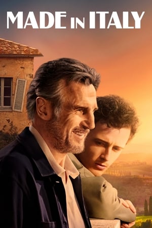 Made In Italy poster 3