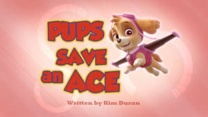 PAW Patrol, Vol. 2 - Pups Save an Ace image