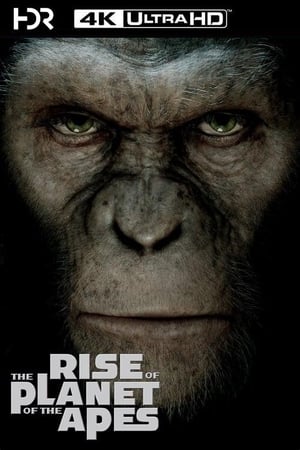 Rise of the Planet of the Apes poster 4