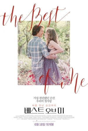 The Best of Me poster 4