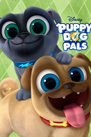 Puppy Dog Pals, Puppy Playcare poster 1