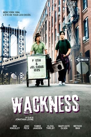 The Wackness poster 1
