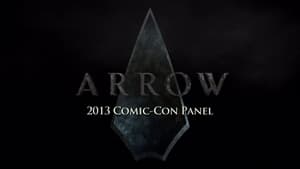 Arrow: The Complete Series - Arrow 2013 Comic-Con Panel image