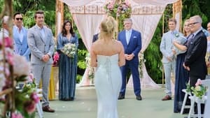 Chesapeake Shores, Season 6 - All or Nothing at All image