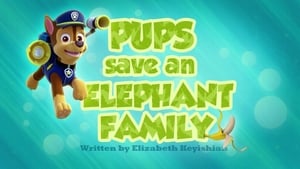 PAW Patrol, Vol. 2 - Pups Save an Elephant Family image