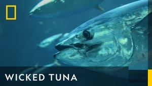 Wicked Tuna, Season 5 image 2