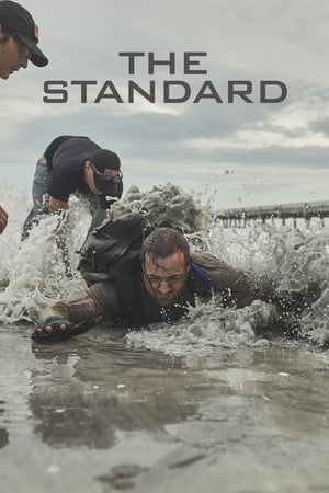 The Standard poster 2