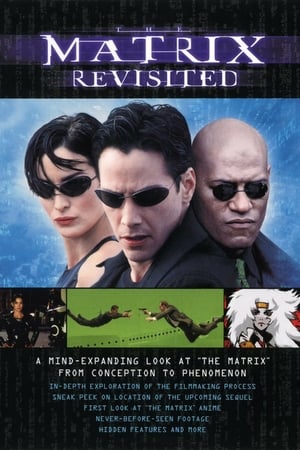 The Matrix: Revisited poster 4