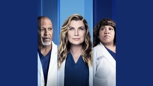 Grey's Anatomy, Season 16 image 1