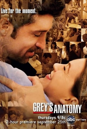 Grey's Anatomy, Season 6 poster 0