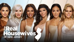 The Real Housewives of New Jersey, Season 9 image 2