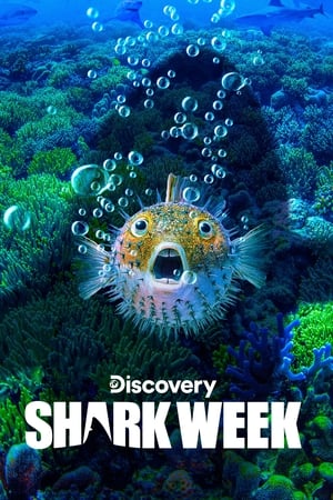Shark Week, 2009 poster 1