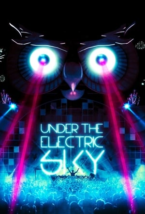 Under the Electric Sky poster 2