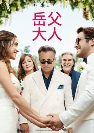 Father of the Bride poster 2
