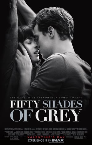 Fifty Shades of Grey poster 4