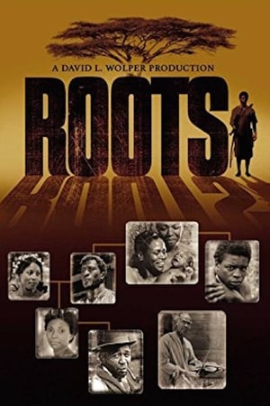 Roots: The Gift poster 3