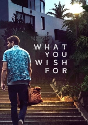 What You Wish For poster 2