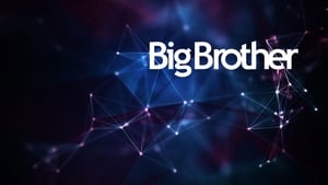 Big Brother, Season 13 image 0