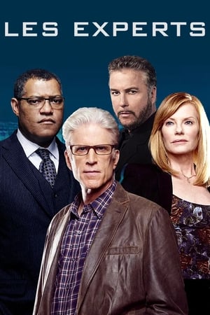 CSI: Crime Scene Investigation, Season 2 poster 2