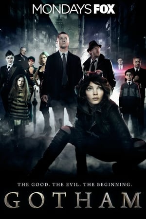 Gotham: The Complete Series poster 1