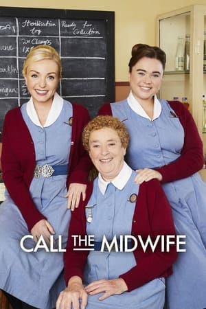 Call the Midwife, Season 2 poster 1