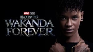 Black Panther (2018) image 3