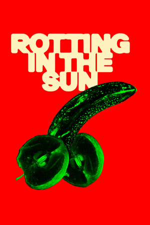 Rotting in the Sun poster 3