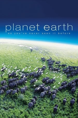 Planet Earth, Series 1 poster 0