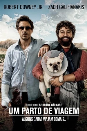 Due Date poster 3